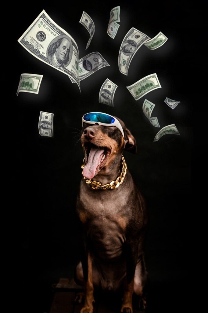 pinscher, dog, dollar